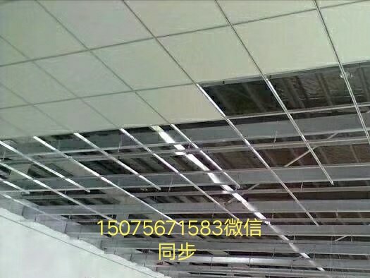 ޲峧ҷù 600*600 