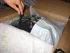 屋面用防水胶泥