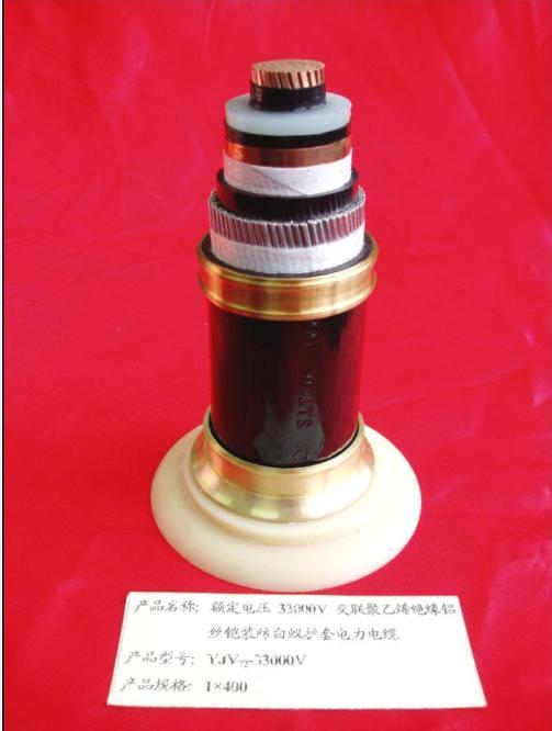 35kV½ϩԵ