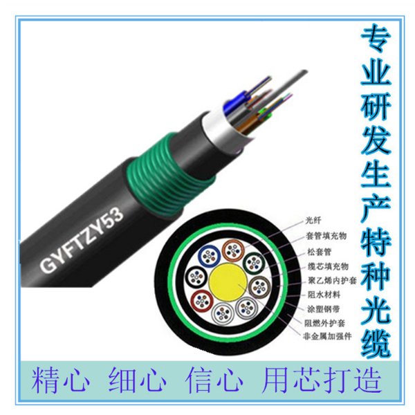 GYFTY53/ǽ˫˫׹ ǽֱ