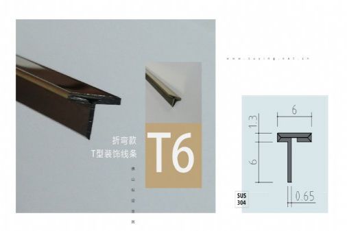 304Tװ-T10