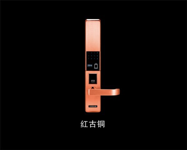  T9800 ָ 