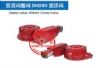 入料圆顶阀DN300