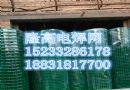 各种电焊网 外墙保温网
