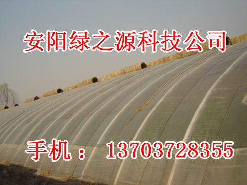 镀塑钢管大棚骨架机