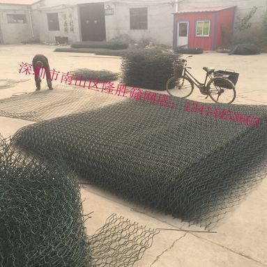 ¡ʤʯ,