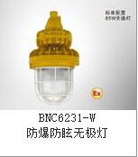 BNC6231-W85ѣ޼