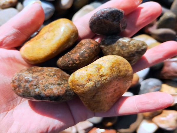 石家庄本格批发 变压器鹅卵石 精品鹅卵石 铺面鹅卵石 质量保证