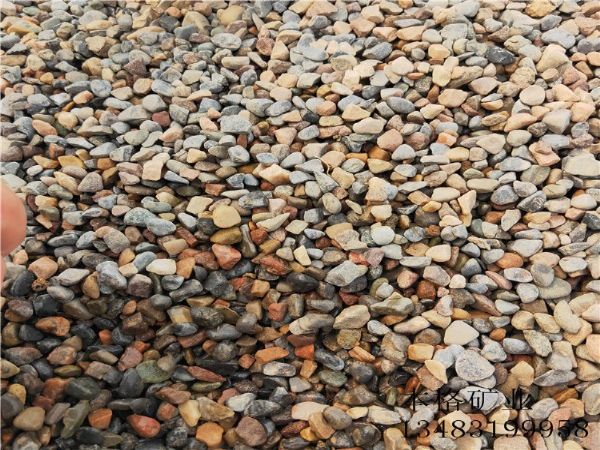 本格厂家直供 污水净化鹅卵石 白色鹅卵石 水洗装饰鹅卵石 量大从优