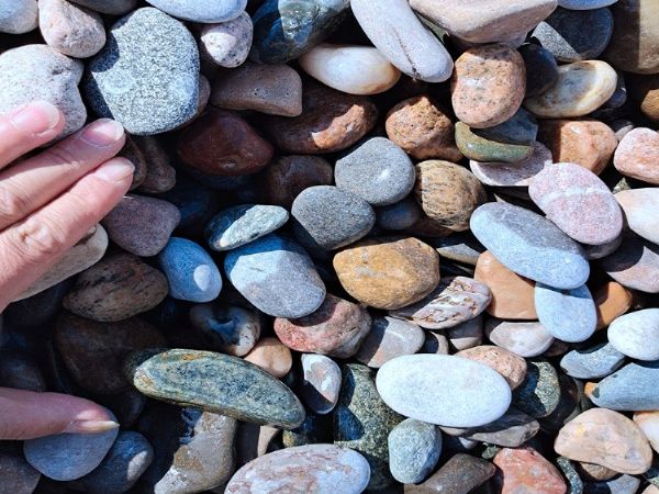 河北厂家批发 工程绿化鹅卵石 盆景装饰鹅卵石 机制河鹅卵石 品质保证