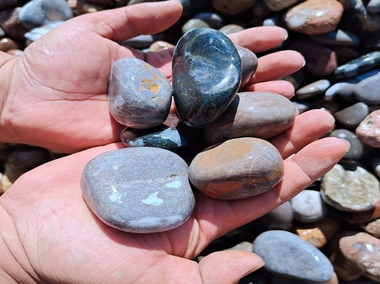 浴室铺鹅卵石 承托层用河卵石 8-15cm鹅卵石 本格厂家批发