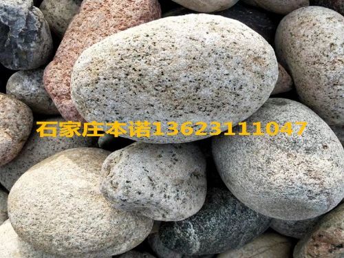 ӱŵʯѹʯ