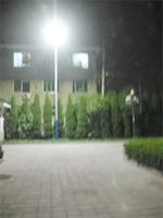 LED·Ƴ