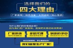交联聚维酮湖北武汉生产厂家