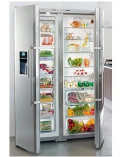 德国进口LIEBHERR冰箱