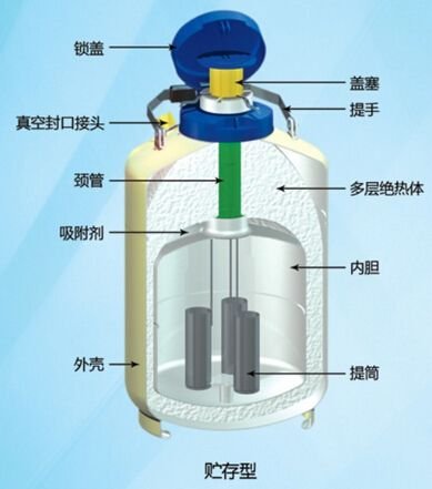 金凤液氮罐2.0L