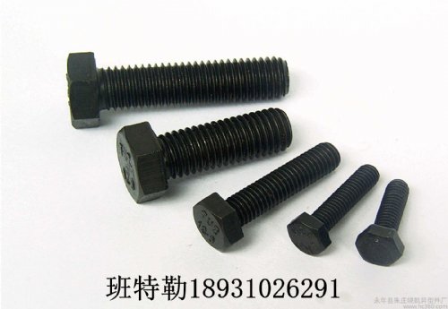 ճֱǿ˨8.8  20*70