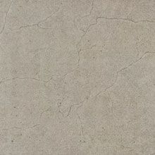 שBL6027P