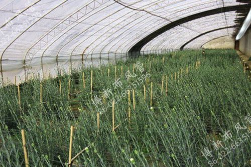 温室大棚布风管