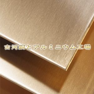 zcusn10p1ͭ