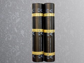 供应SBS弹性体改性沥青防水卷材