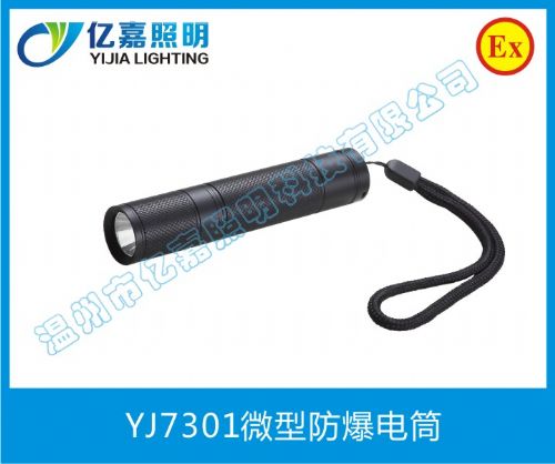 YJ7301΢ͷͲ