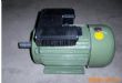 优质单相电容电机YL100L-2 2.2KW