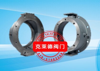 阀体DN50 CP18590A-00