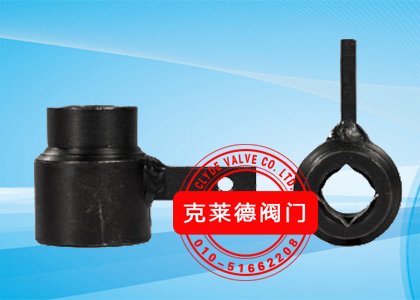 联轴器 DN50 CP18586D-00