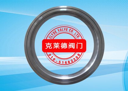 上支撑环DN200 CP29616D-00