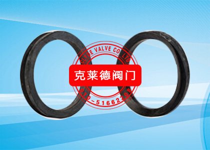 VARI密封圈DN250 M1342