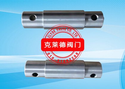 传动轴DN300 CP2479C-00