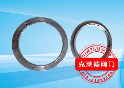 下支撑环DN200 CP29617D-00