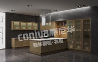 康尼华吸塑样柜