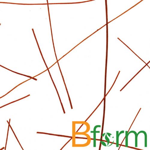 ͸֬,͸в ͸װ֬