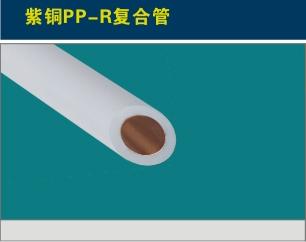 ͭPP-RϹ