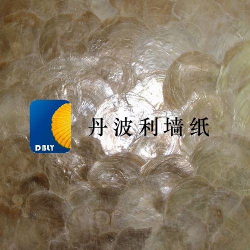 ǽֽ5