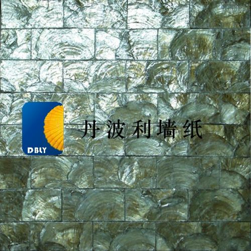 ǽֽ1