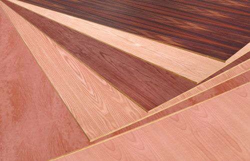 大王椰板材饰面板,贴面板,装饰面板