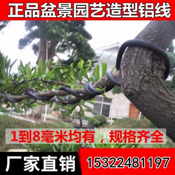 1060԰辰 DIYֹ ¼ ֻ