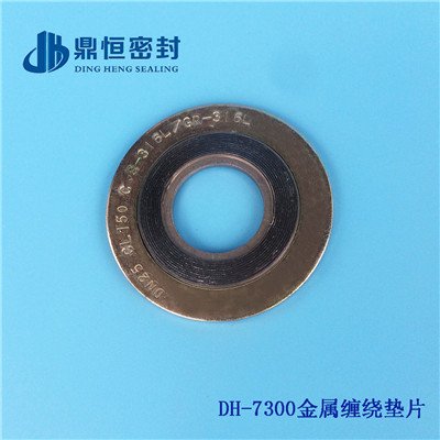  DH-7300ƵƬ
