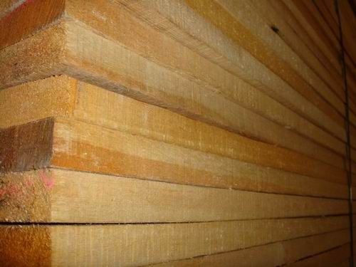 俄罗斯樟子松烘干板材