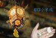 ӦG12˽±