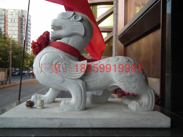 ʯ񻨸һ ͥԺҾӶʯ ԰ַˮ