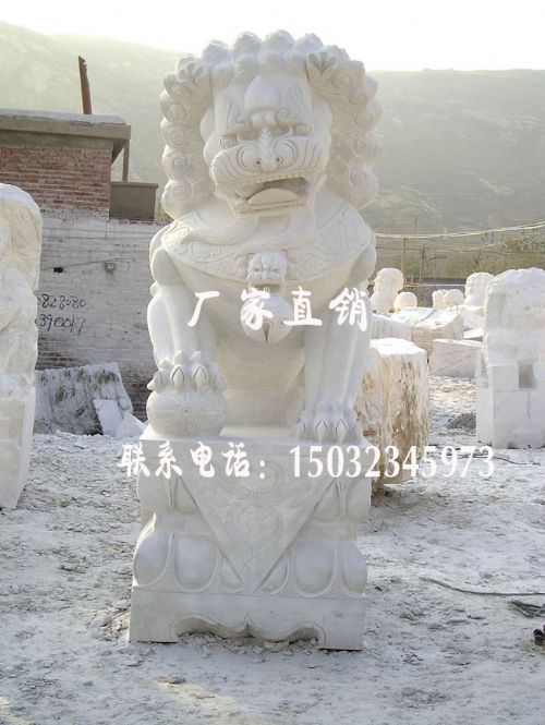 ʯ찲ʨ