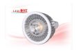 LED