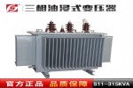 Ӧ S11-315KVA 10/0.4KV ͽʽѹ ̳С