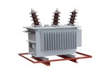 ӦS11-250KVA 33/0.4KV ȫܷѹ ͱ