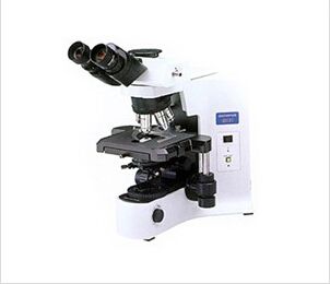 olympus BX41΢