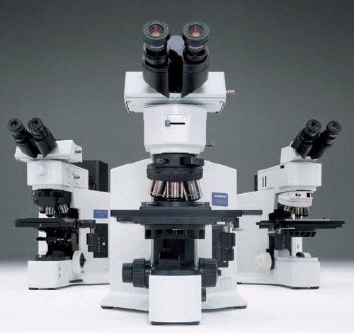 olympus BX51M΢